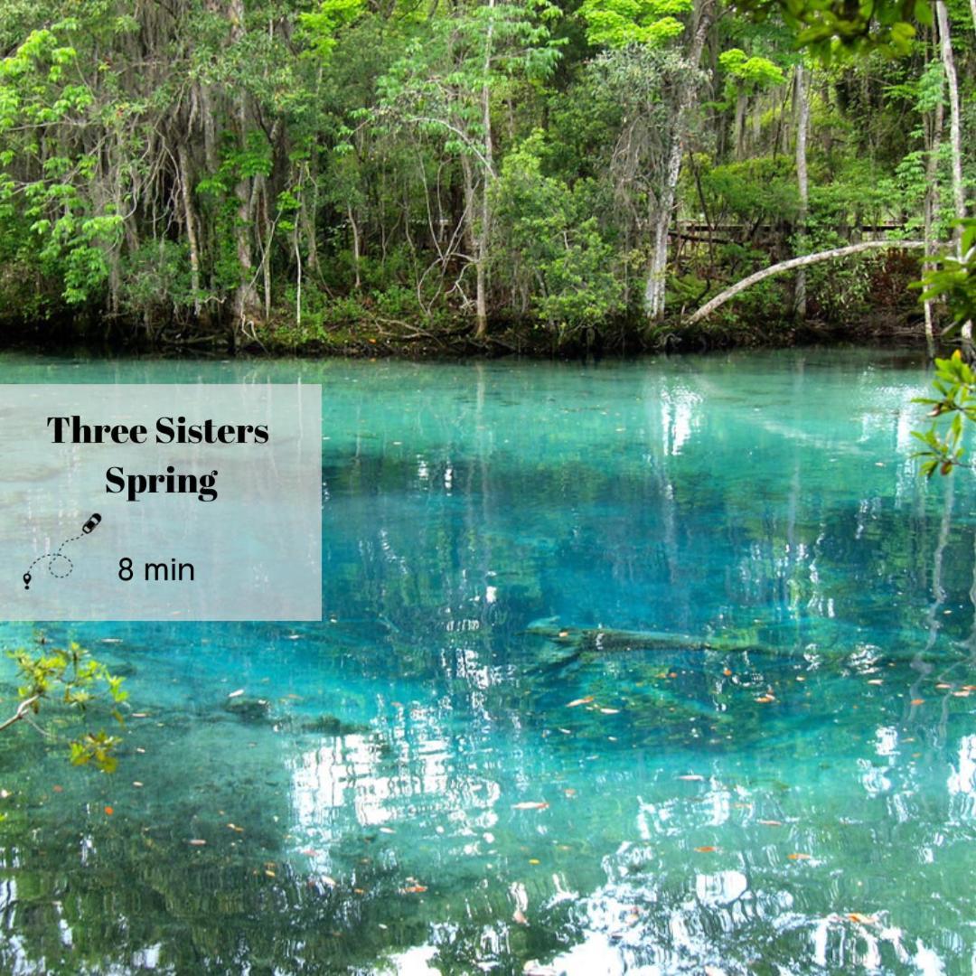 New Cozy House 5 Min Three Sisters Springs Crystal River Exterior foto